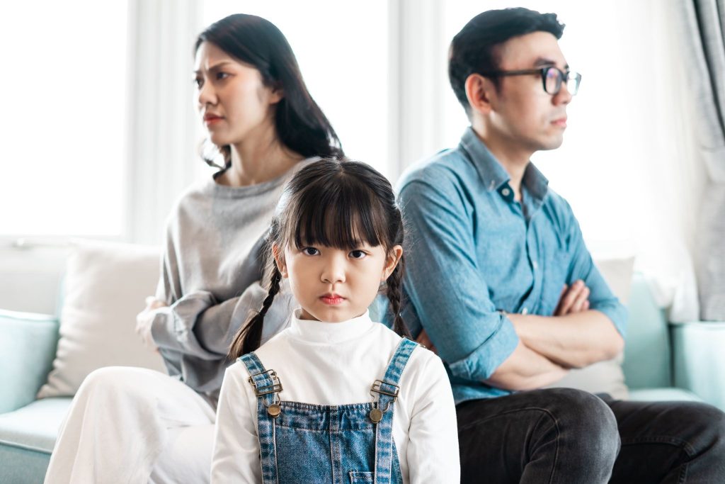 Child Custody and Asset Division in a Single Petition Divorce